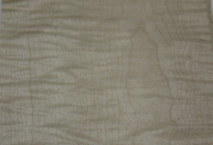 SYCAMORE VENEER