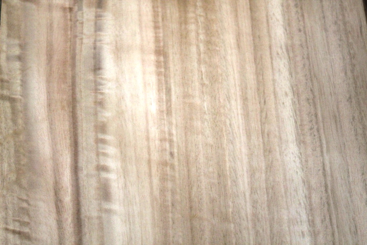 EUCALYPTUS FIGURED VENEER