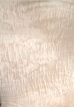 Maple Sycamore Curly Figured prefinished wood veneer 13